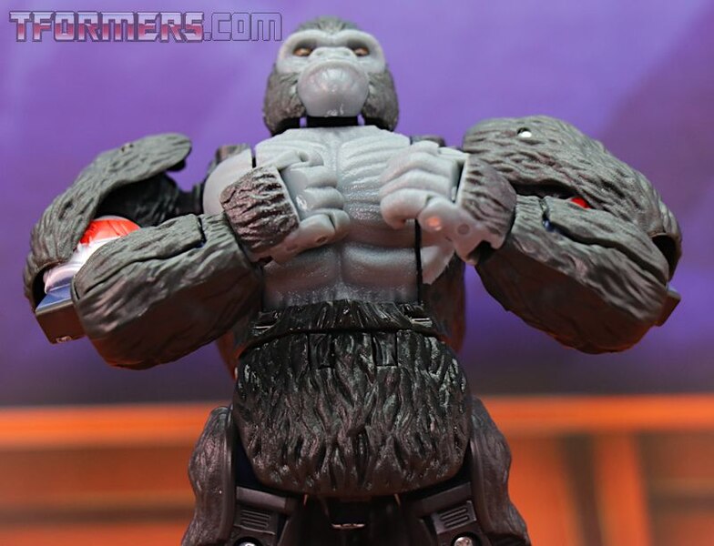 Transformers Kingdom Wave 1 Optimus Primal  (26 of 55)